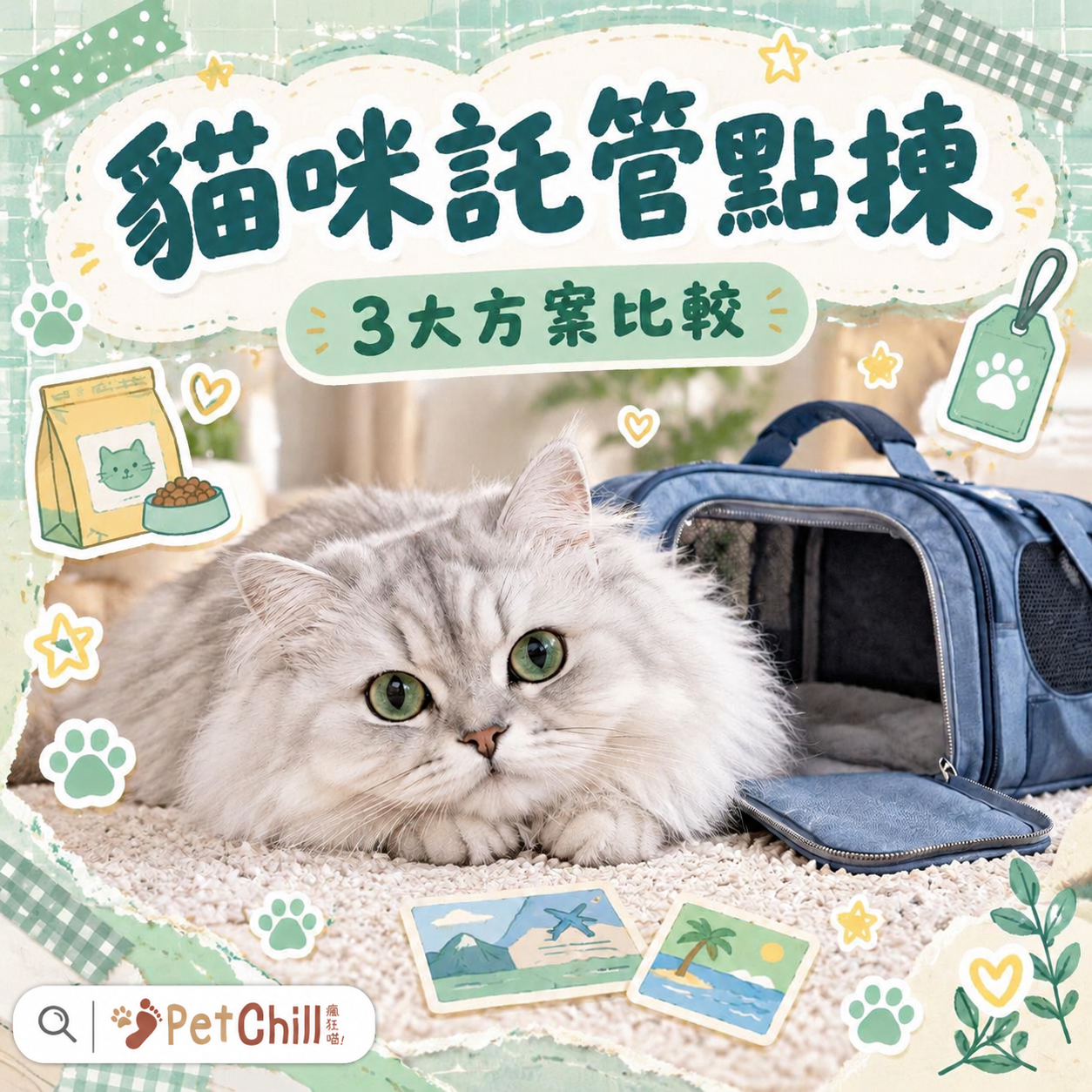 貓咪寄養/託管點揀|香港上門保姆vs寵物旅館3大方案比較+挑選檢查清單