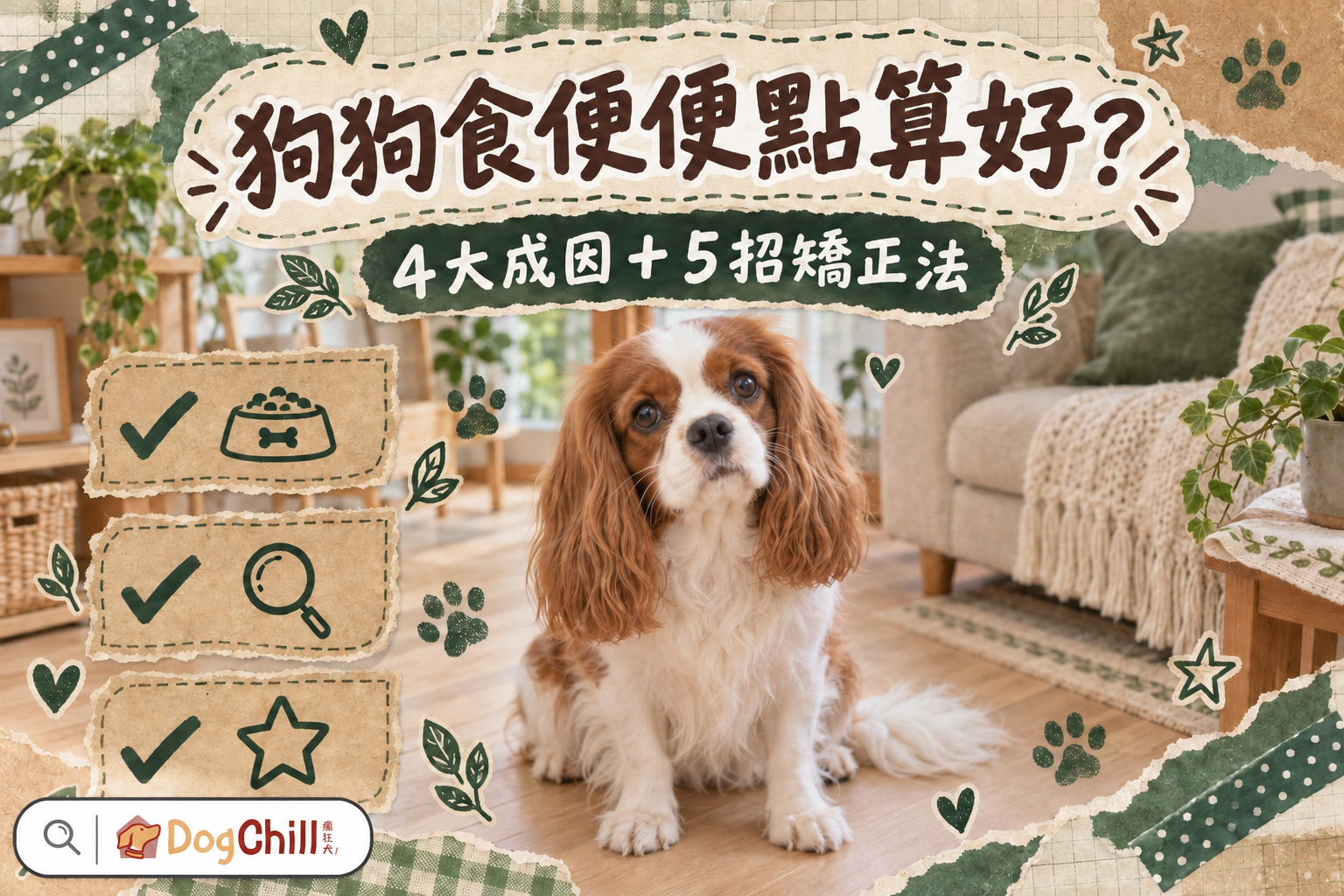 狗狗食便便點算好?4大成因+5招矯正法,行為專家一次拆解