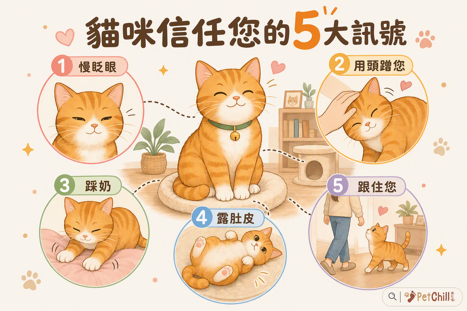 貓咪信任您的5大訊號圖解
