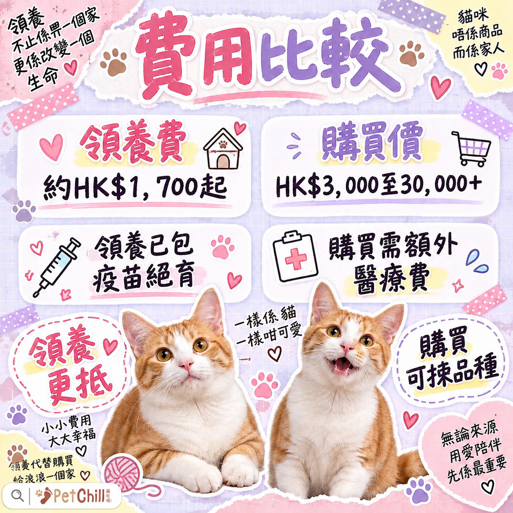 香港領養 vs 購買完全比較｜費用/程序/風險一次睇清 配圖