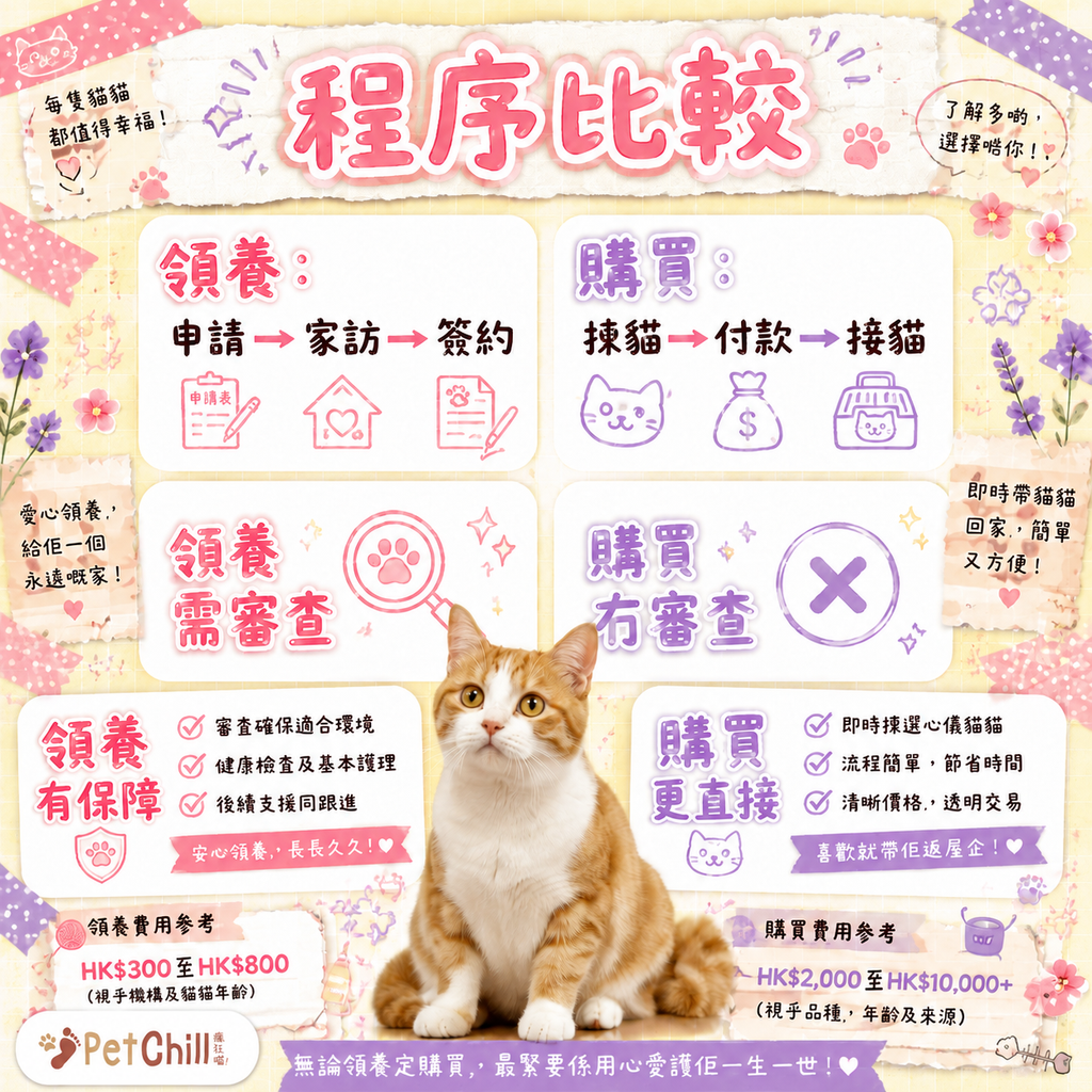 香港領養 vs 購買完全比較｜費用/程序/風險一次睇清 配圖