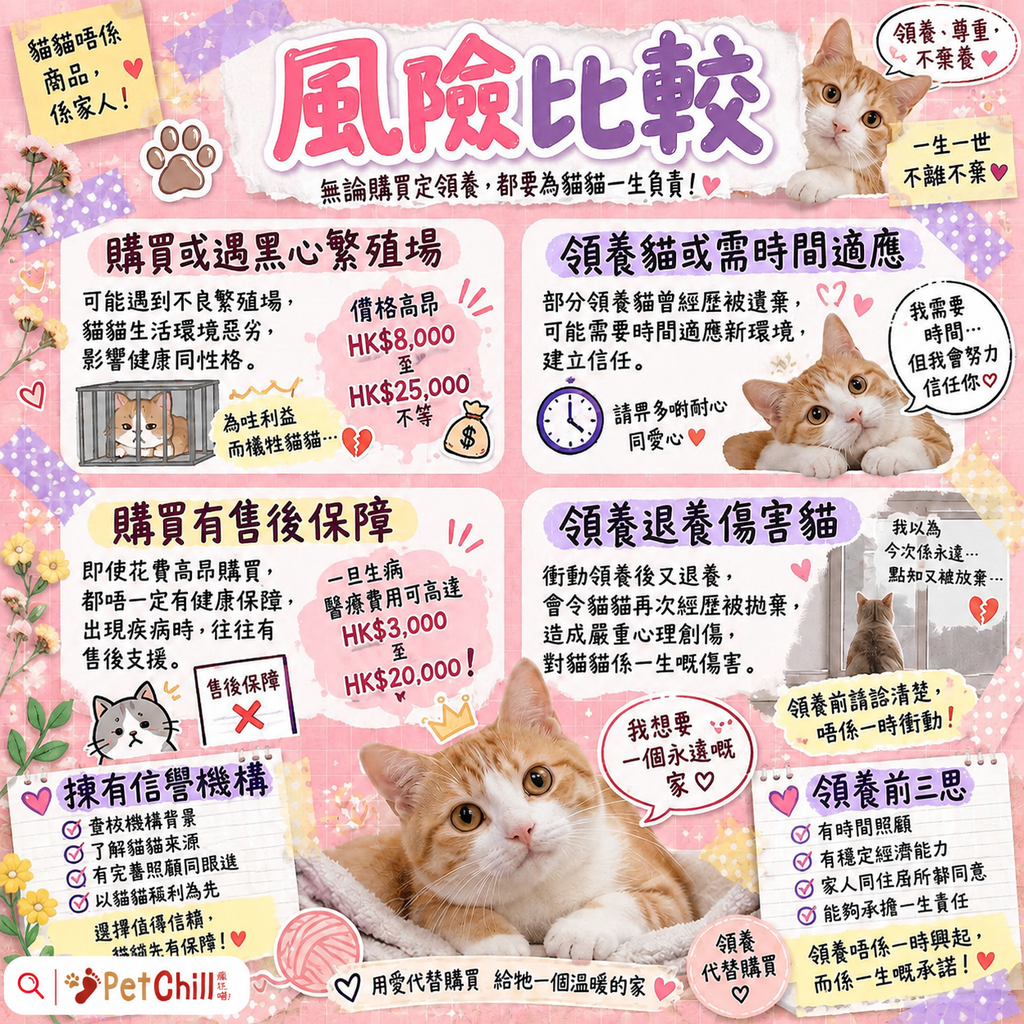 香港領養 vs 購買完全比較｜費用/程序/風險一次睇清 配圖