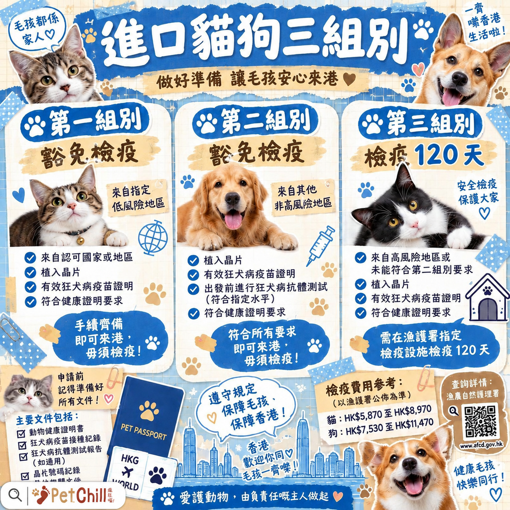 香港養貓法例懶人包｜漁護署領牌＋狂犬病條例＋進口檢疫一次睇清 配圖
